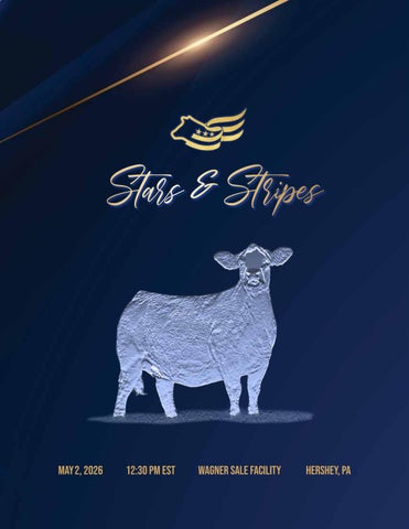 Stars & Stripes 2026 Sale