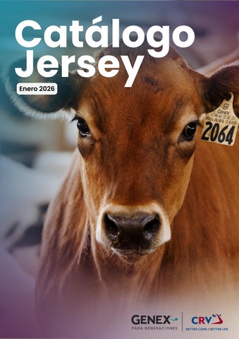 Catálogo Jersey Enero 2026