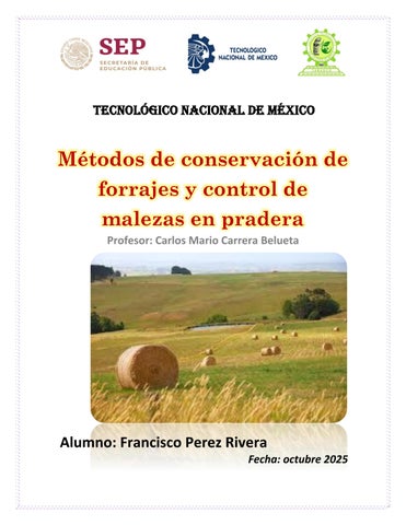 U6_Act7_PEREZ RIVERA_FRANCISCO