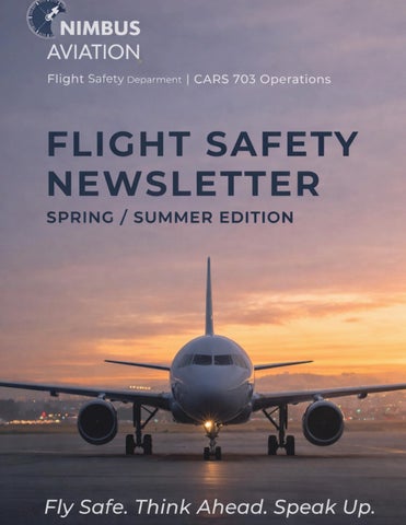 Flight safety (Light Gray)