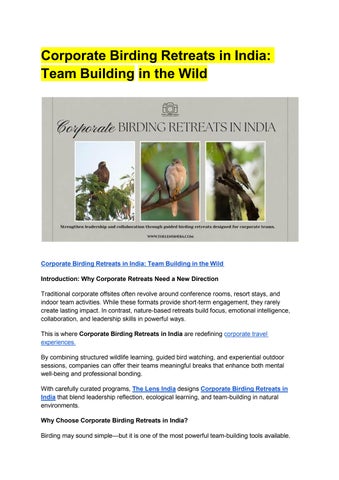 lens india Google Docs