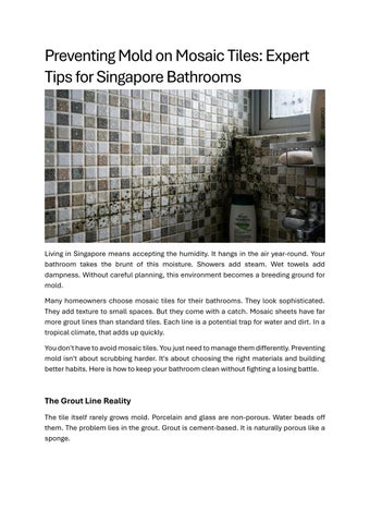 Preventing Mold on Mosaic Tiles - Expert Tips for Singapore Bathrooms