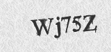 YtsH2